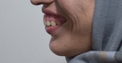 photo_2025-12-26_16-49-26 photo_2025-12-26_16-49-26